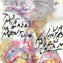 http://www.nunezdelarco.com/files/gimgs/th-43_TU MIRADA ME MANTUVO VIVA.jpg